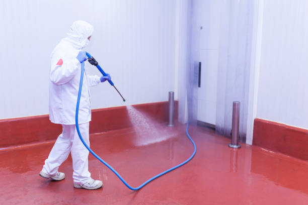 Best Sidewalk and Walkway Cleaning  in Beloit, OH